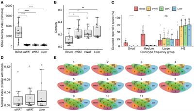 Human adipose tissue as a major reservoir of cytomegalovirus-reactive T cells